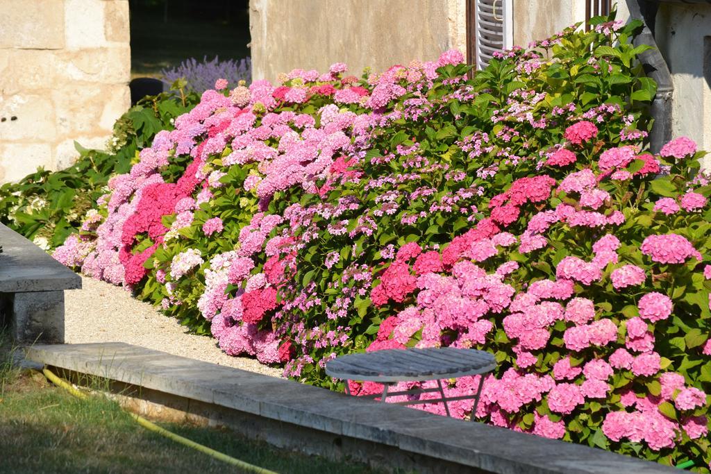 La Maison Du Potager De Mazieres Sainte-Solange Exteriér fotografie